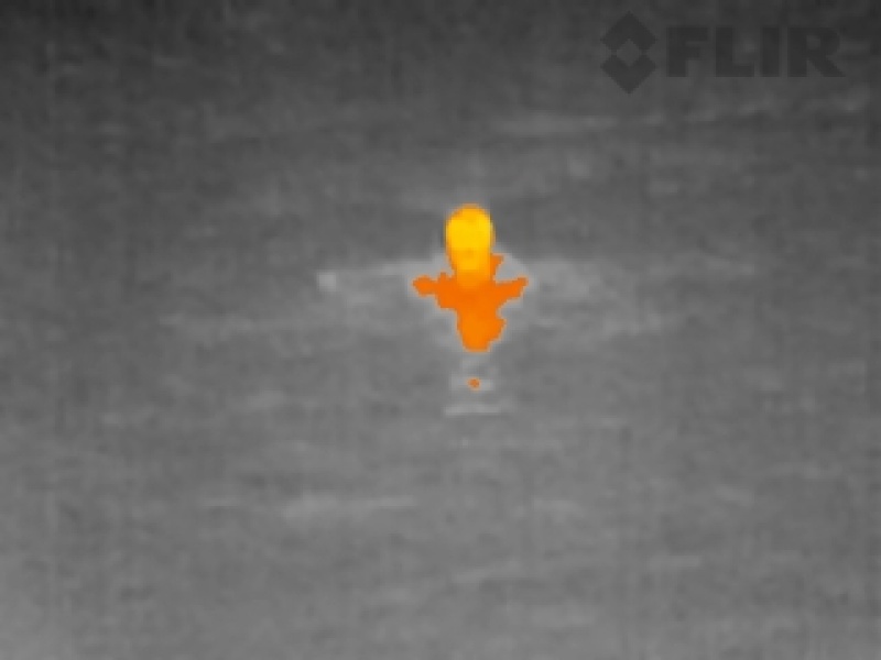 FLIR Ocean Scout TK