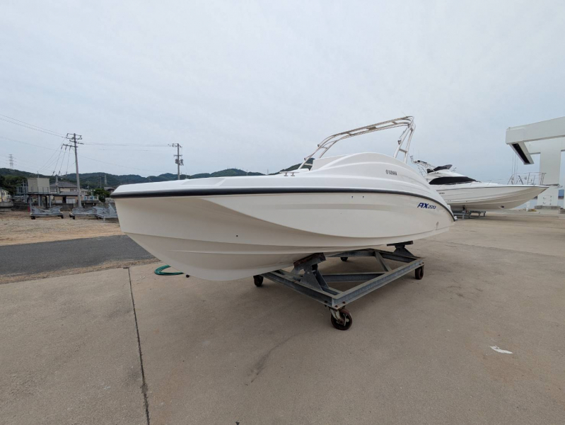 ヤマハ AX220 WT（ウェイクタワー付）