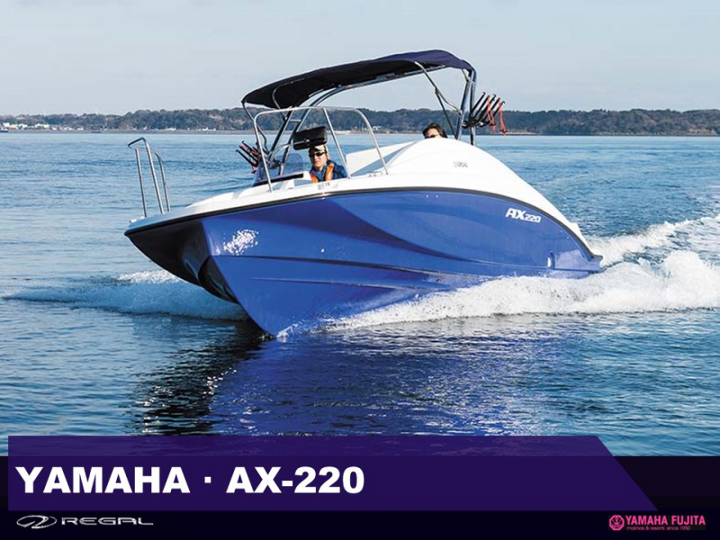 ヤマハ AX220