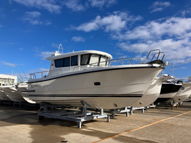 SARGO 31