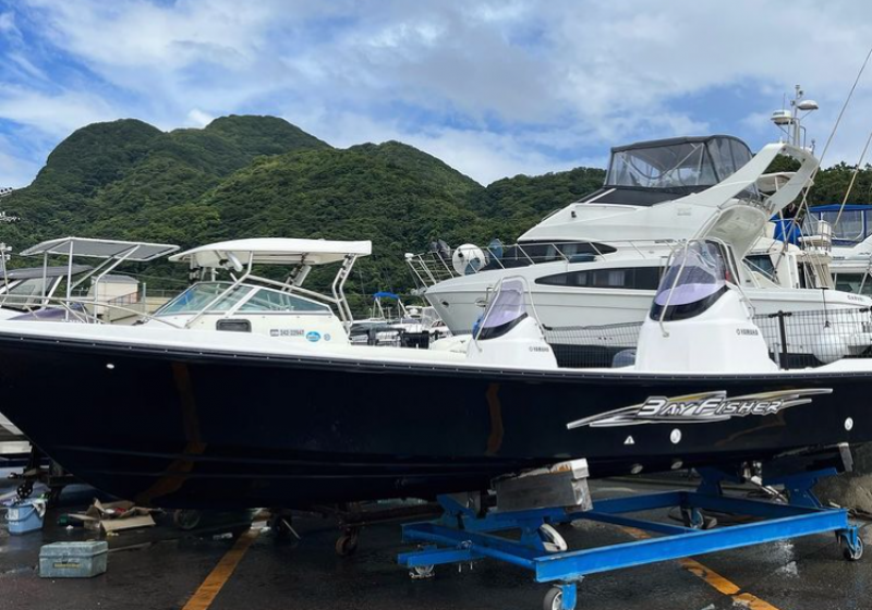 ヤマハ BayFisher25 