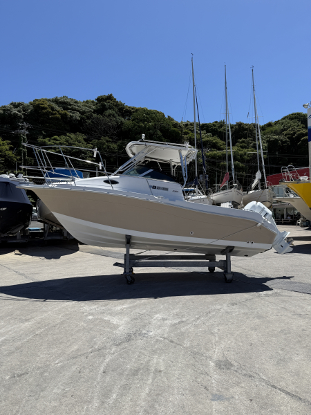 シースィール ストライパー2101