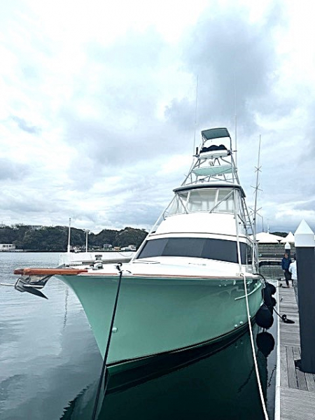 デービス 44
