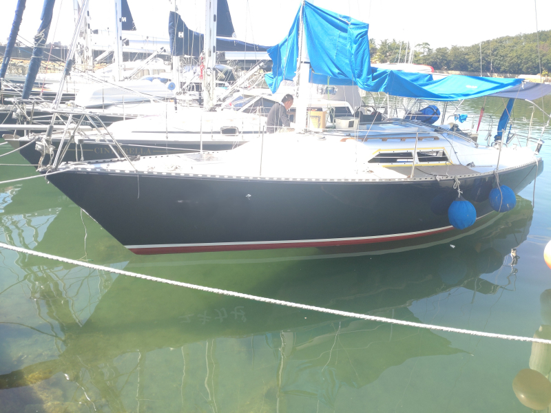 オカザキ パイオニア9 