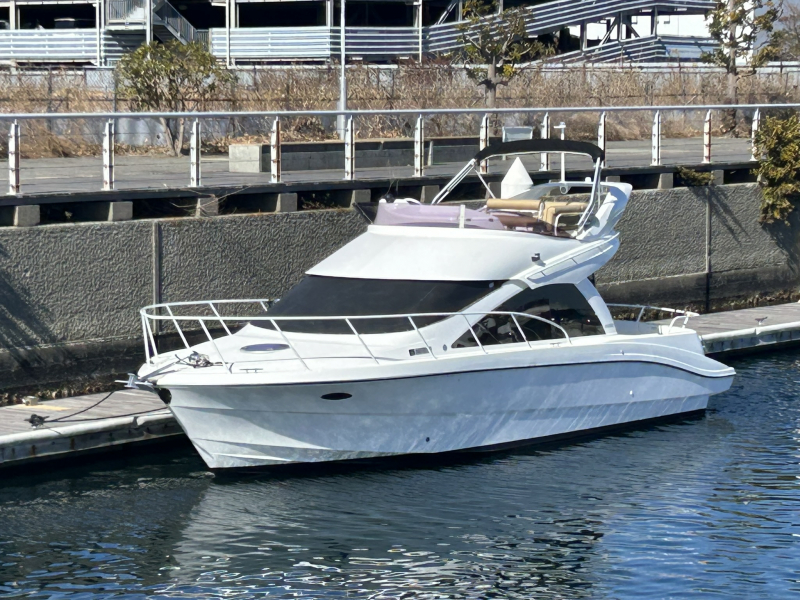 ヤマハ SC-30eX