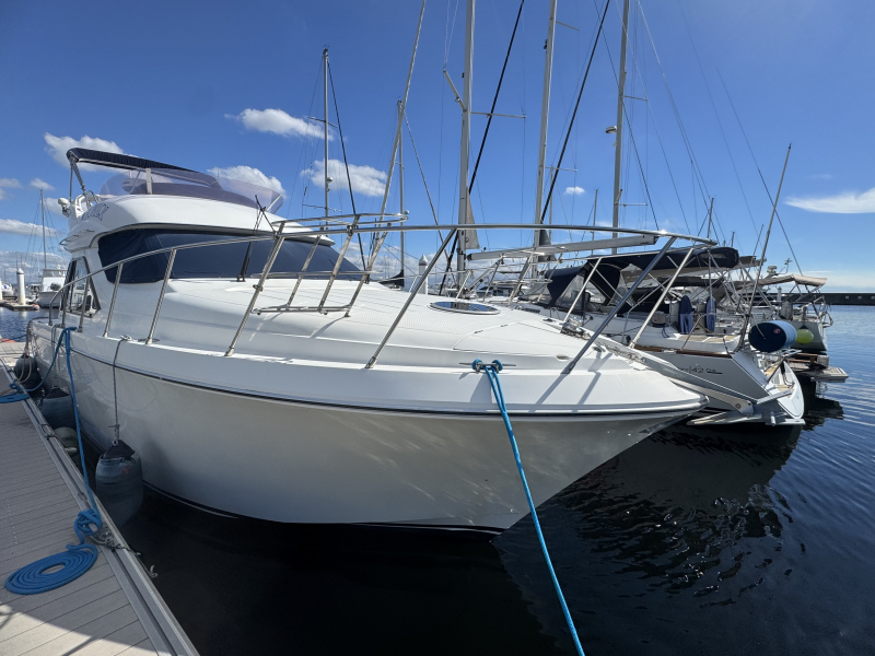 ヤマハ SC-36 EXハイパワータイプ