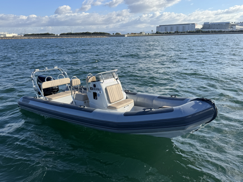BALLISTIC 6.0C 