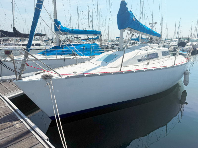 ヤマハ Y-25Ⅱマイレディ