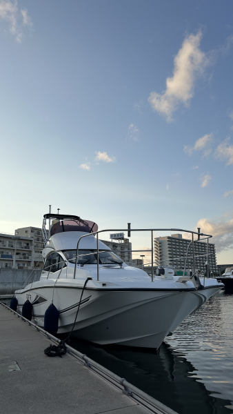 ヤマハ DFR-36FB 