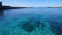 城ケ島ベイマリーナ