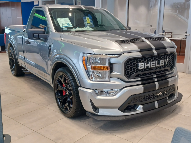 フォード F-150 シェルビースーパースネークスポーツ