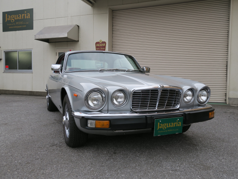 XJ-6