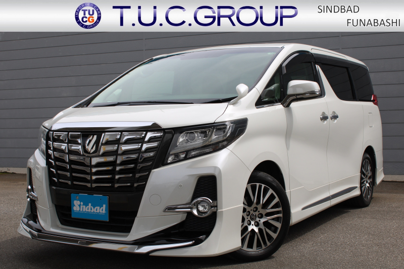 トヨタ アルファード 2.5S Cﾊﾟｯｹｰｼﾞ 7人 ﾓﾃﾞﾘｽﾀｸﾙｰｽﾞC 黒半革Pｼｰﾄ ｱﾙﾊﾟｲﾝ10型Mﾅﾋﾞﾌﾙｾｸﾞ ｱﾙﾊﾟｲﾝ12.8型ﾘｱﾌﾘｯﾌﾟﾀﾞｳﾝﾓﾆﾀｰ ETC ﾄﾞﾗﾚｺ Bｶﾒﾗ  ｽﾃｱﾘﾝｸﾞﾋｰﾀｰ ﾊﾟﾜｰBﾄﾞｱ 両側電動ｽﾗｲﾄﾞ 2眼LEDﾍｯﾄﾞﾗｲﾄ 18ｲﾝﾁAW 2年保証