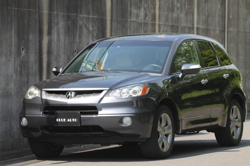 RDX-MGコンバ1 0 レーヴD RDX用コンバージョンキット カーボン