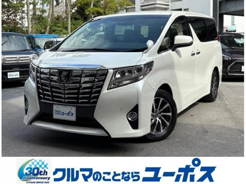 トヨタ アルファード 2.5G　OP5年保証対象車　純正9インチナビ　フリップダウンモニター　両側パワースライドドア　ETC　ハーフレザーシート　コーナーセンサー