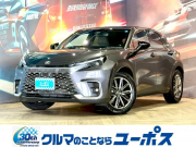LBX