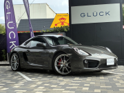 ケイマン(Type981)