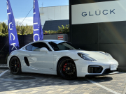 ケイマン(Type981)